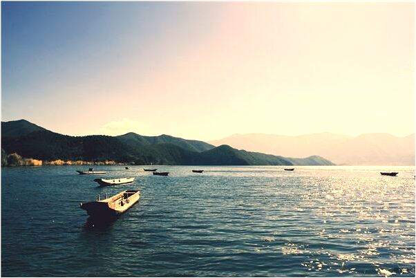 夢到什麼叫使轉會有什麼預兆_周公解夢官網