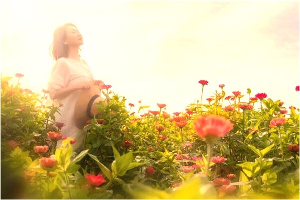 夢到債主把我逼上高處什麼寓意_周公解夢官網