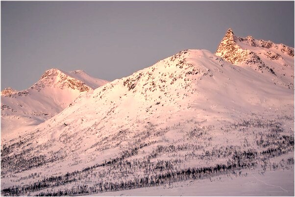 夢到人跳起來射箭是啥預兆_周公解夢官網