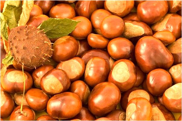 夢到了橋上滑代表著什麼？_周公解夢官網