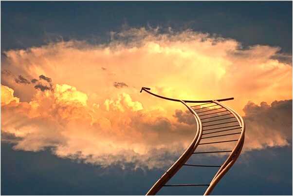 夢到樹上結很多大的猴頭菇是好的徵兆嗎_周公解夢官網