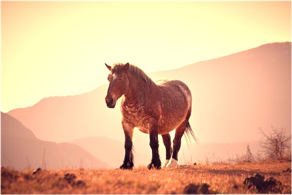 夢到被領導摸奶是什麼啟示_周公解夢官網