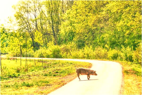 夢到自己找到新的工作有什麼徵兆_周公解夢官網