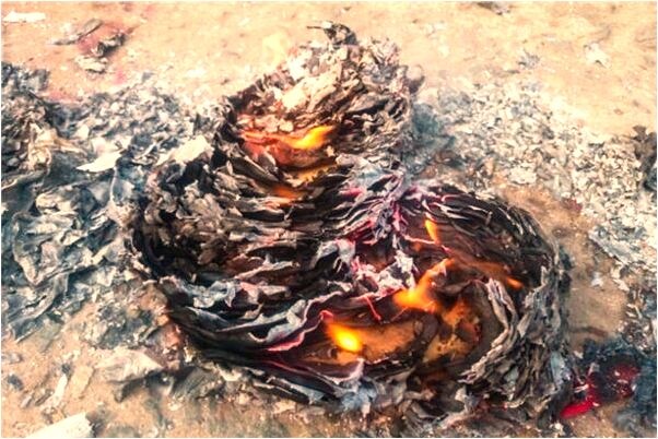 夢見撿到帽子襪子有什麼意思嗎_周公解夢官網