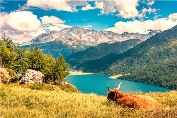 夢見老婆和姐妹情人是凶兆還是吉兆_周公解夢官網