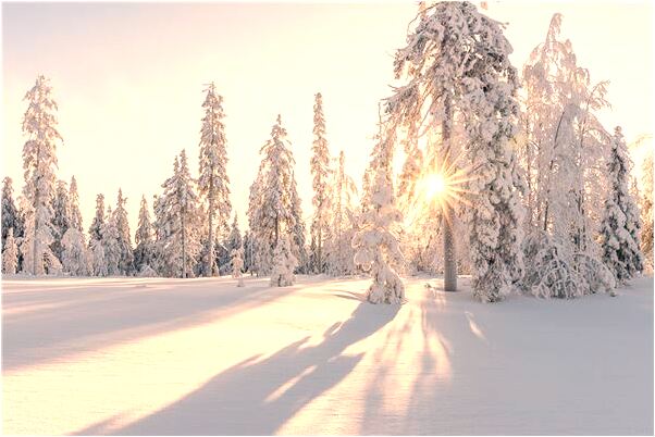 夢到了自己拎著孩子走了是怎么回事_周公解夢官網