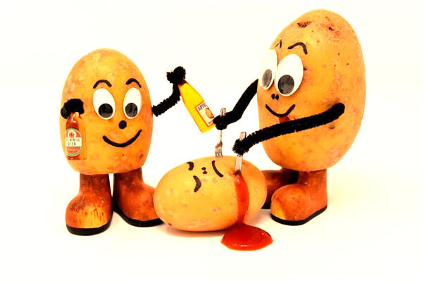 夢到趕牛車在樹林裡是什麼意思_周公解夢官網