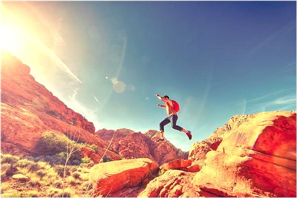 夢到院子裡都是雞屎會怎么樣_周公解夢官網