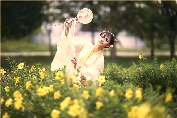 夢見他人坎樹好不好_周公解夢官網