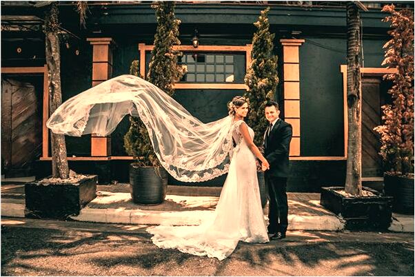 夢見黑貓和白貓又被白貓咬啥意思_周公解夢官網