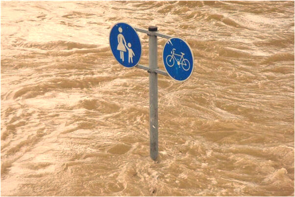 夢到了一群小野雞好不好_周公解夢官網