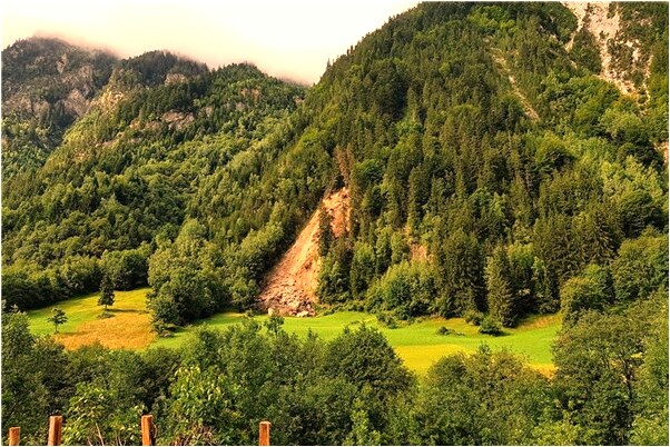 夢見別人借給自己快刀殺豬有什麼意義嗎_周公解夢官網