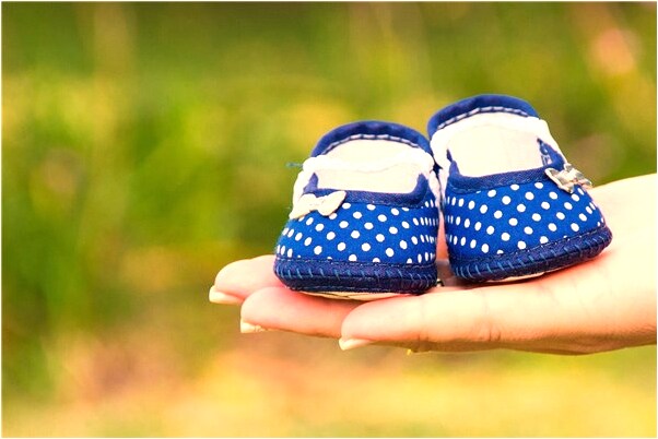 夢到家裡被小偷偷光是啥意思_周公解夢官網