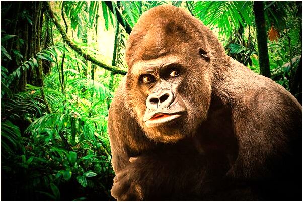 夢到了女鄰居背我摔跤她受傷是什麼預兆_周公解夢官網