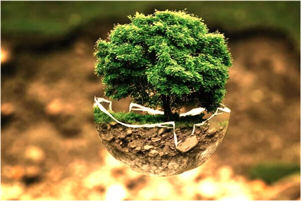 夢到了打老婆了有什麼預兆_周公解夢官網