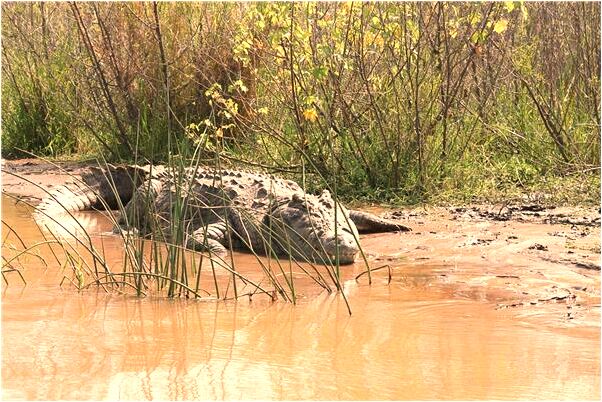 夢見和陌生異性同床代表什麼_周公解夢官網