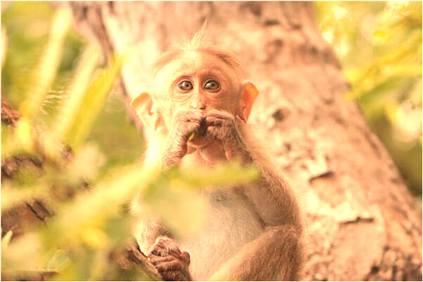 夢到墳頭撿錢預示著什麼_周公解夢官網