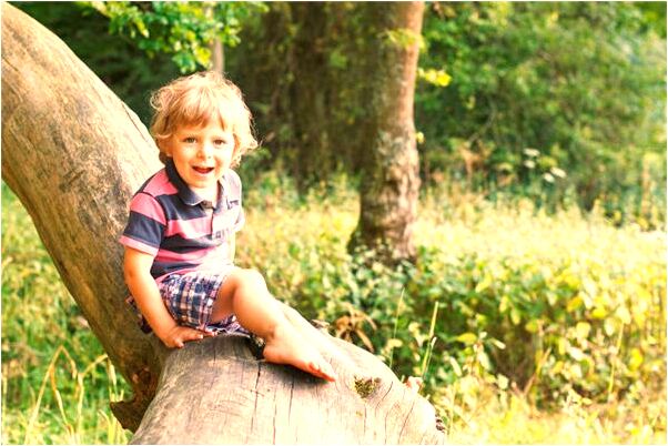 夢到地里的石榴樹結果有什麼徵兆_周公解夢官網