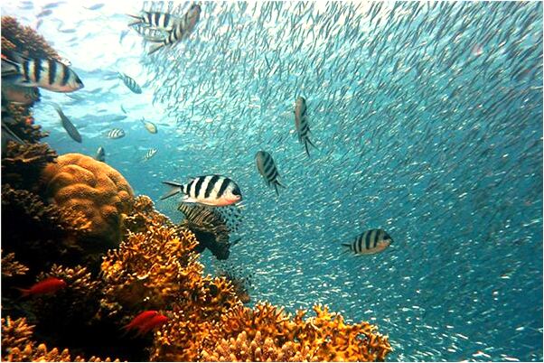 夢見解戰鬥英雄一些怎么樣_周公解夢官網