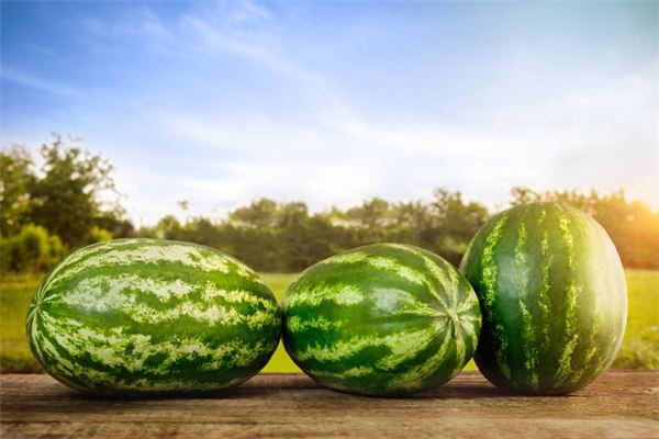 夢見大西瓜_周公解夢