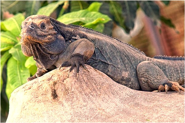 夢到了新買的家具被雨淋了是什麼意思_周公解夢官網