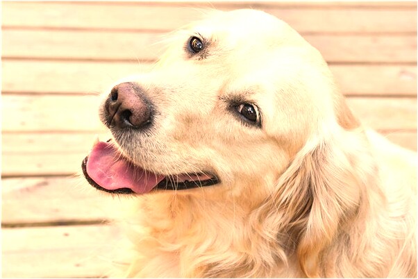 夢見看到宇宙飛船意味什麼_周公解夢官網