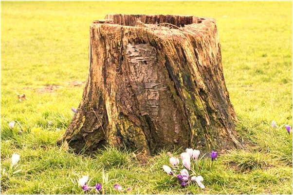 夢到別人打毛線的預兆_周公解夢官網