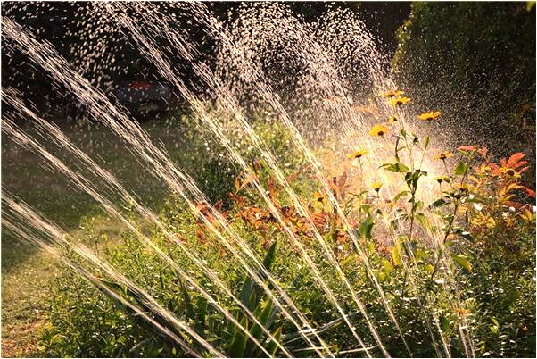 夢見能見一親戚穿一身黃袍什麼預兆_周公解夢官網