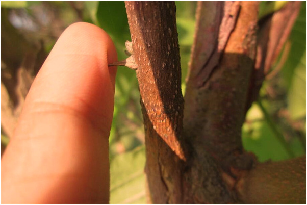 夢到別人的錢被偷預示了什麼_周公解夢官網