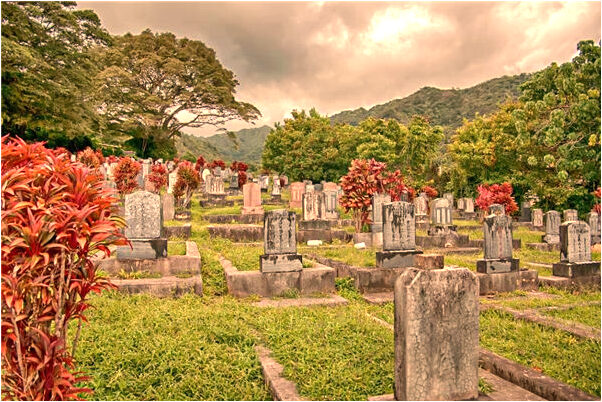 夢到吃白色玉米棒子預示什麼_周公解夢官網