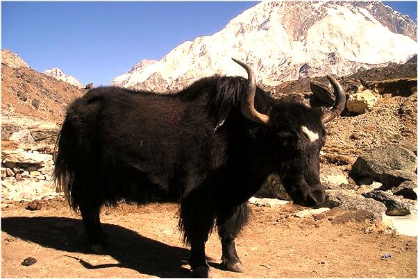 夢到了和兩個帥哥曖昧是什麼意思_周公解夢官網