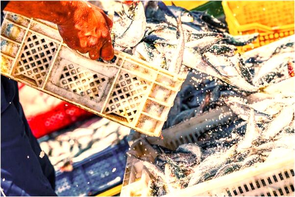 夢到了膝蓋很軟走不動是什麼預兆_周公解夢官網