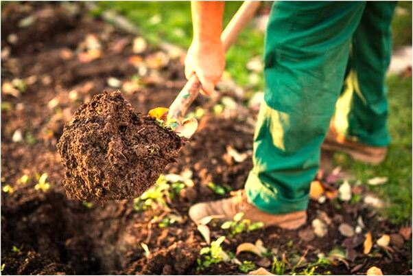夢到了煙囪掉了下怎么樣_周公解夢官網