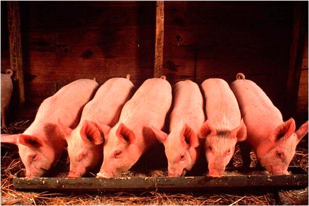 夢見喝醉酒的人攔自己路有什麼說法_周公解夢官網