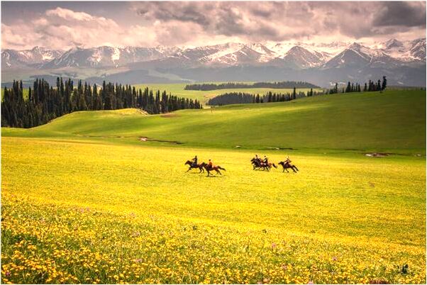 夢到捉了幾條魚意味什麼_周公解夢官網