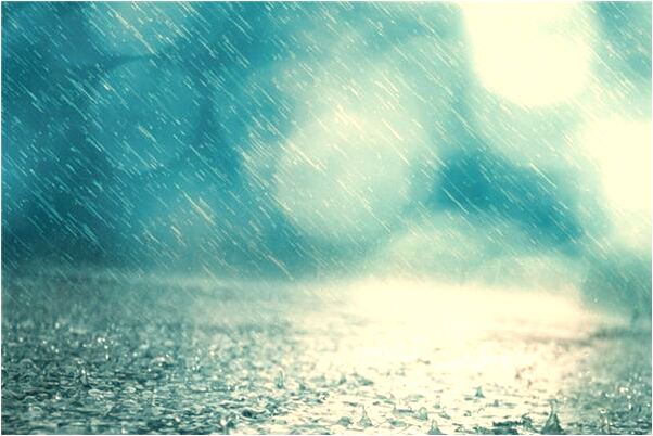 夢到了買燒豬怎么回事_周公解夢官網