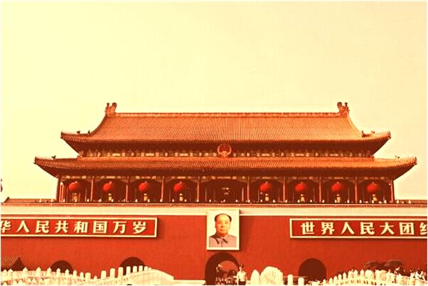 夢見自己養的鳥跑了意味什麼_周公解夢官網