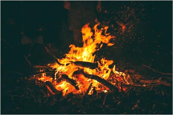 夢到一棵小樹斷了有什麼寓意嗎_周公解夢官網