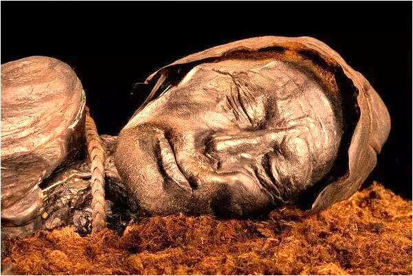 夢到了丟錢包大哭意味什麼_周公解夢官網