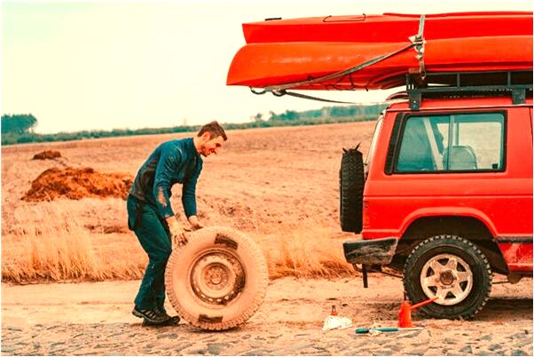 夢到了小蟒蛇變玩具怎么說_周公解夢官網