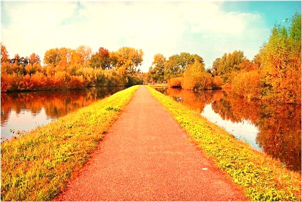 夢見自己裸體要去洗澡代表著什麼?_周公解夢官網