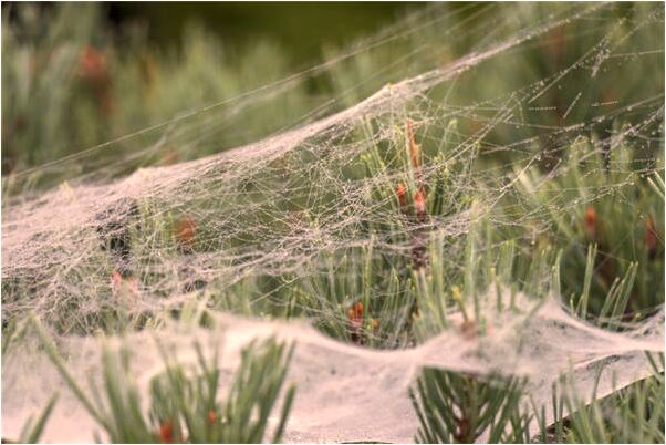 夢到了黑暗教室是什麼意思_周公解夢官網