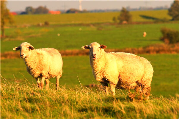 夢到了和宇智波斑有了孩子是什麼徵兆_周公解夢官網