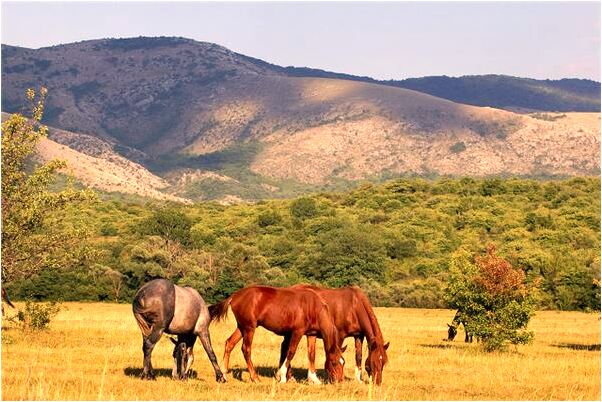 夢見在學校班裡被殺人犯當人質是凶兆還是吉兆_周公解夢官網