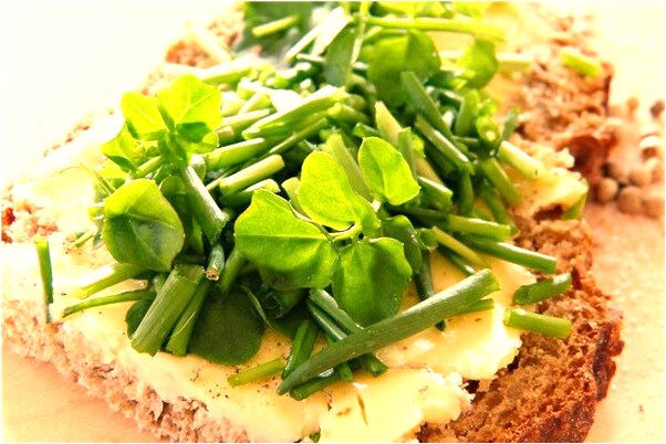 夢到了自己跟老公做愛是凶兆還是吉兆_周公解夢官網