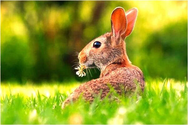 夢到撿到很多一百的錢會怎么樣_周公解夢官網