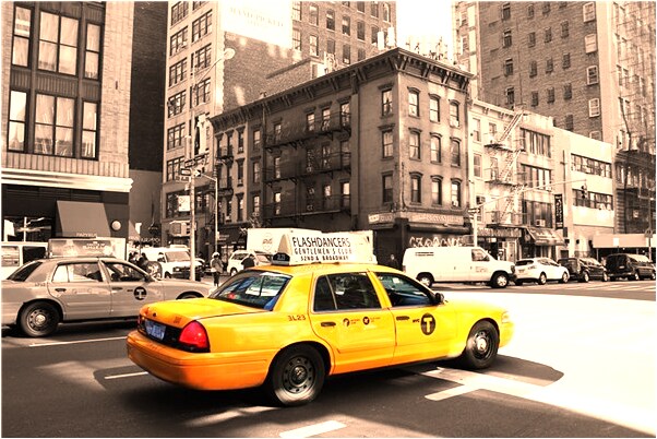 夢到狗下崽代表什麼_周公解夢官網