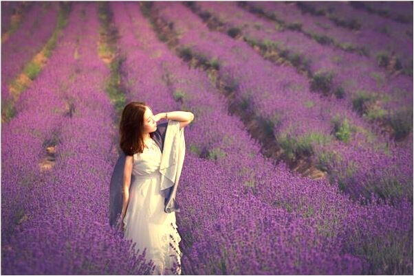 夢見很多吳公追啥意思_周公解夢官網