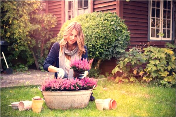 夢到了院子裡很多魚怎么樣_周公解夢官網