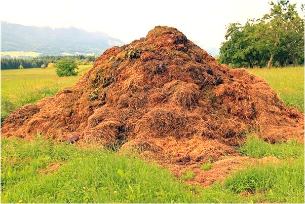 夢到了被怪物欺負有何寓意_周公解夢官網